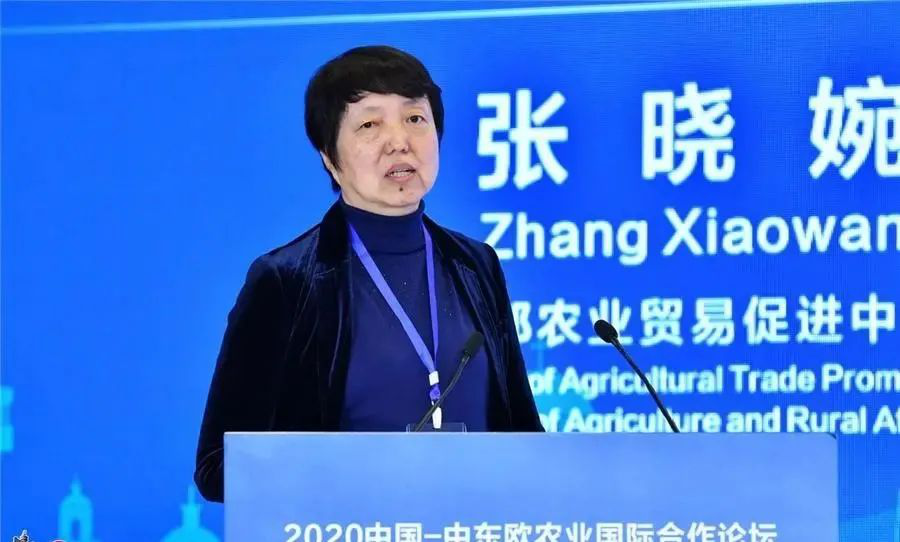 图片11.png