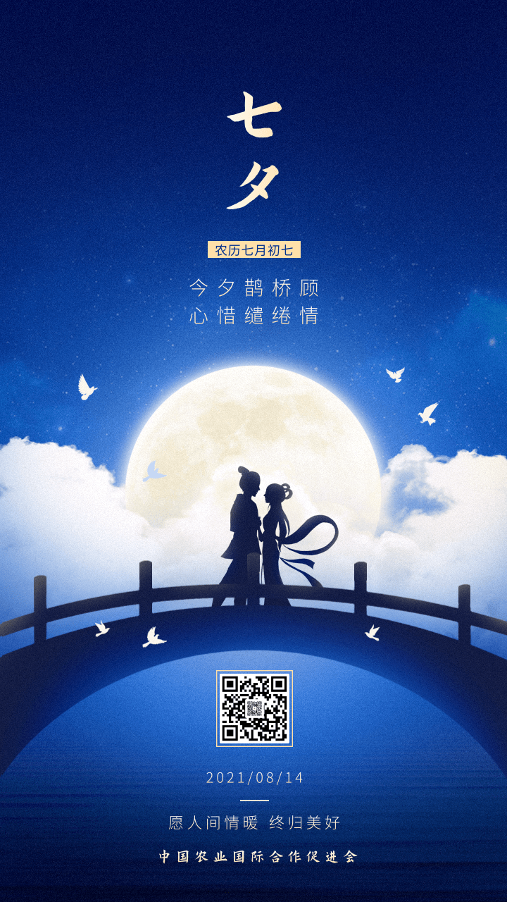 简约图文七夕情人节祝福问候手机海报.png