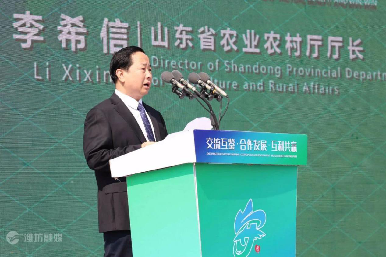 图片20.png