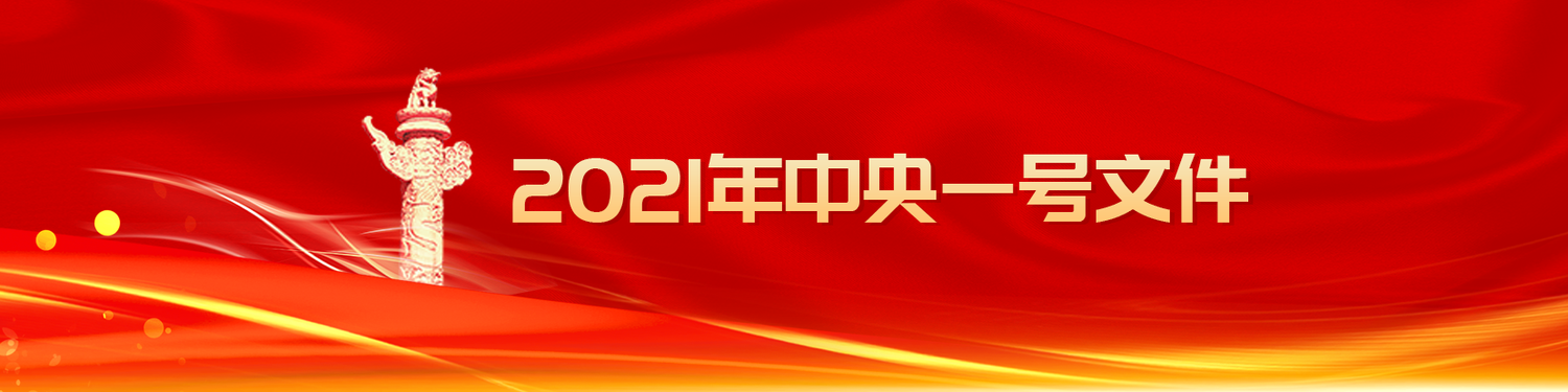 中央一号文件剪裁.png