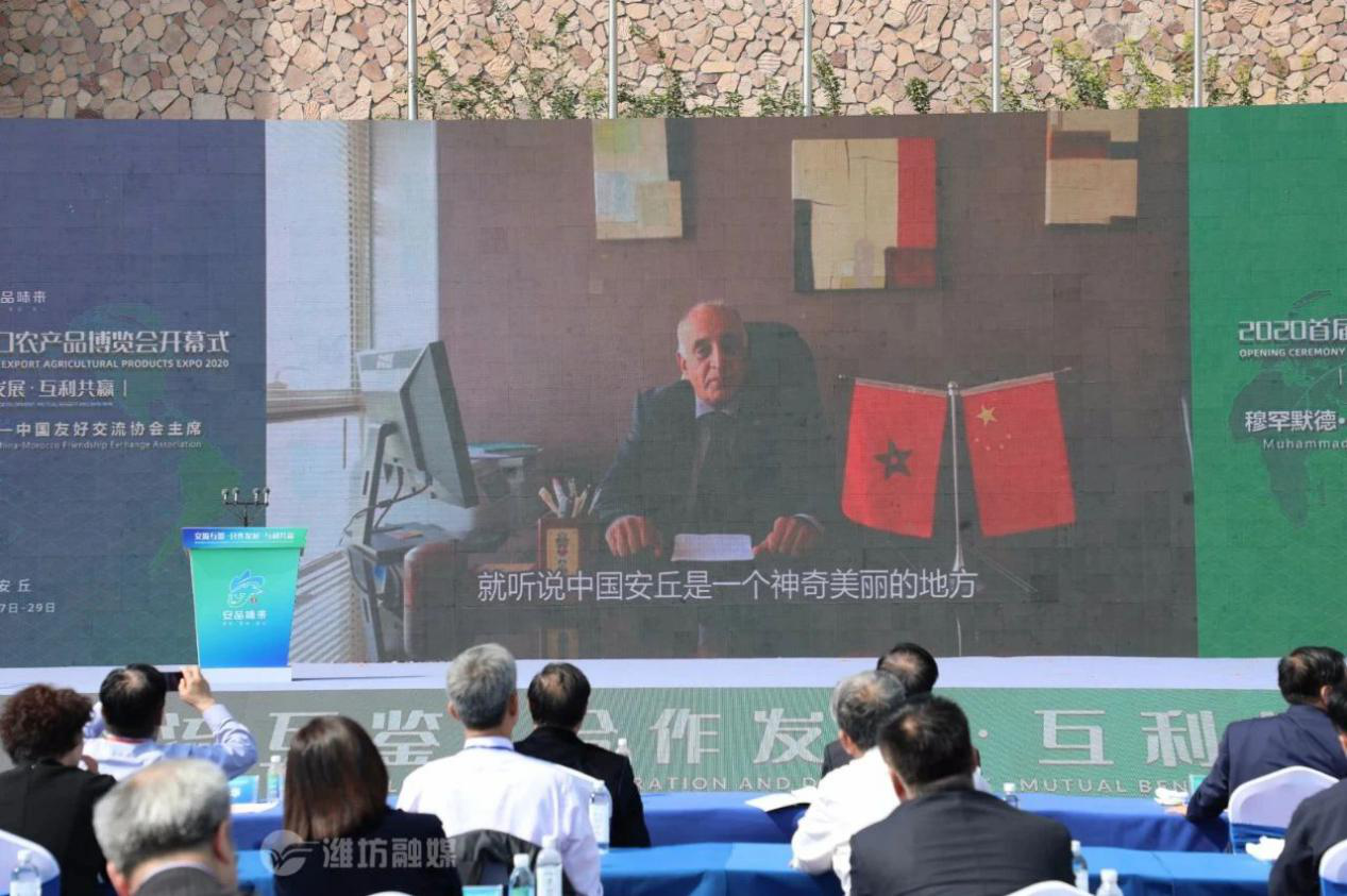 图片24.png