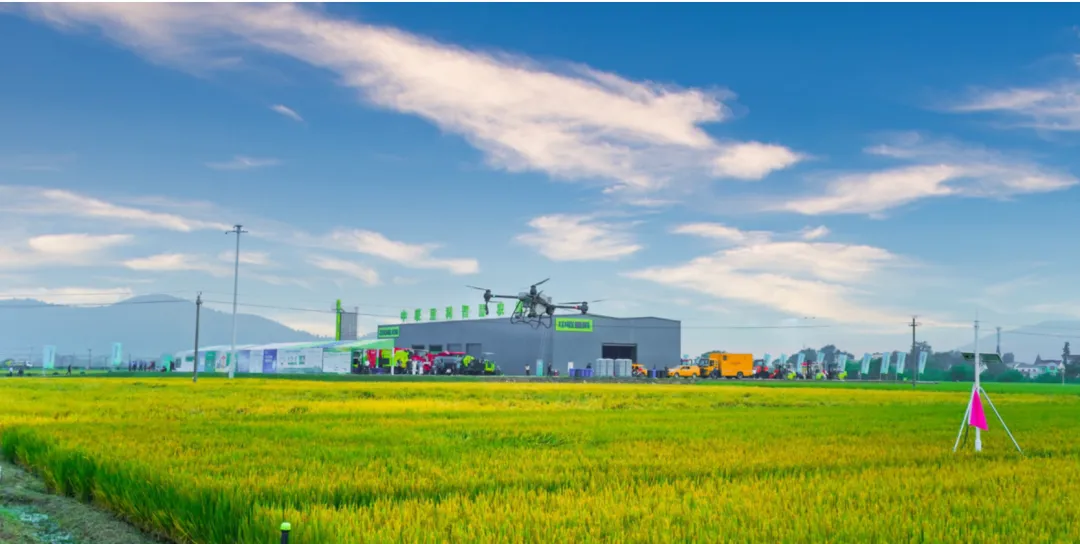 中国农业种业政策支持力度分析报告