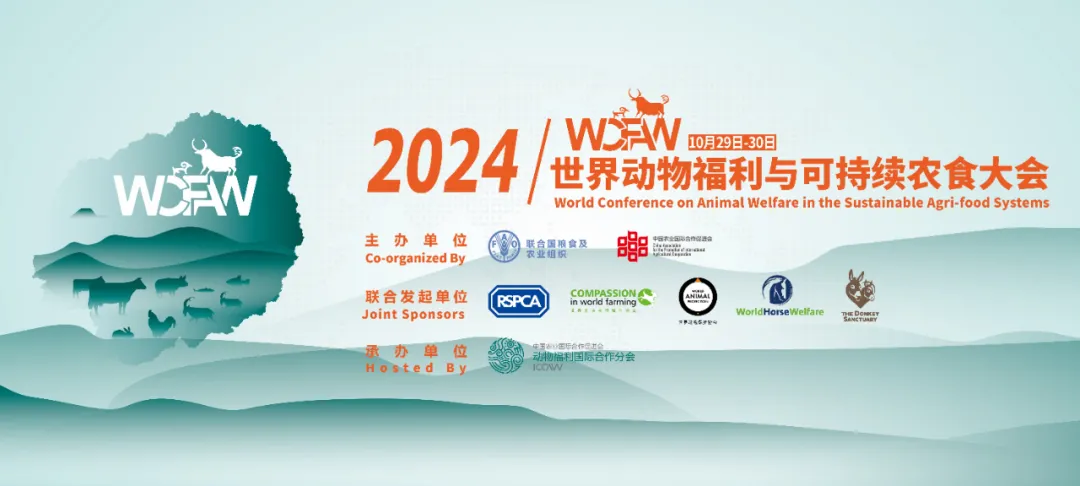 微信图片_20240909144619