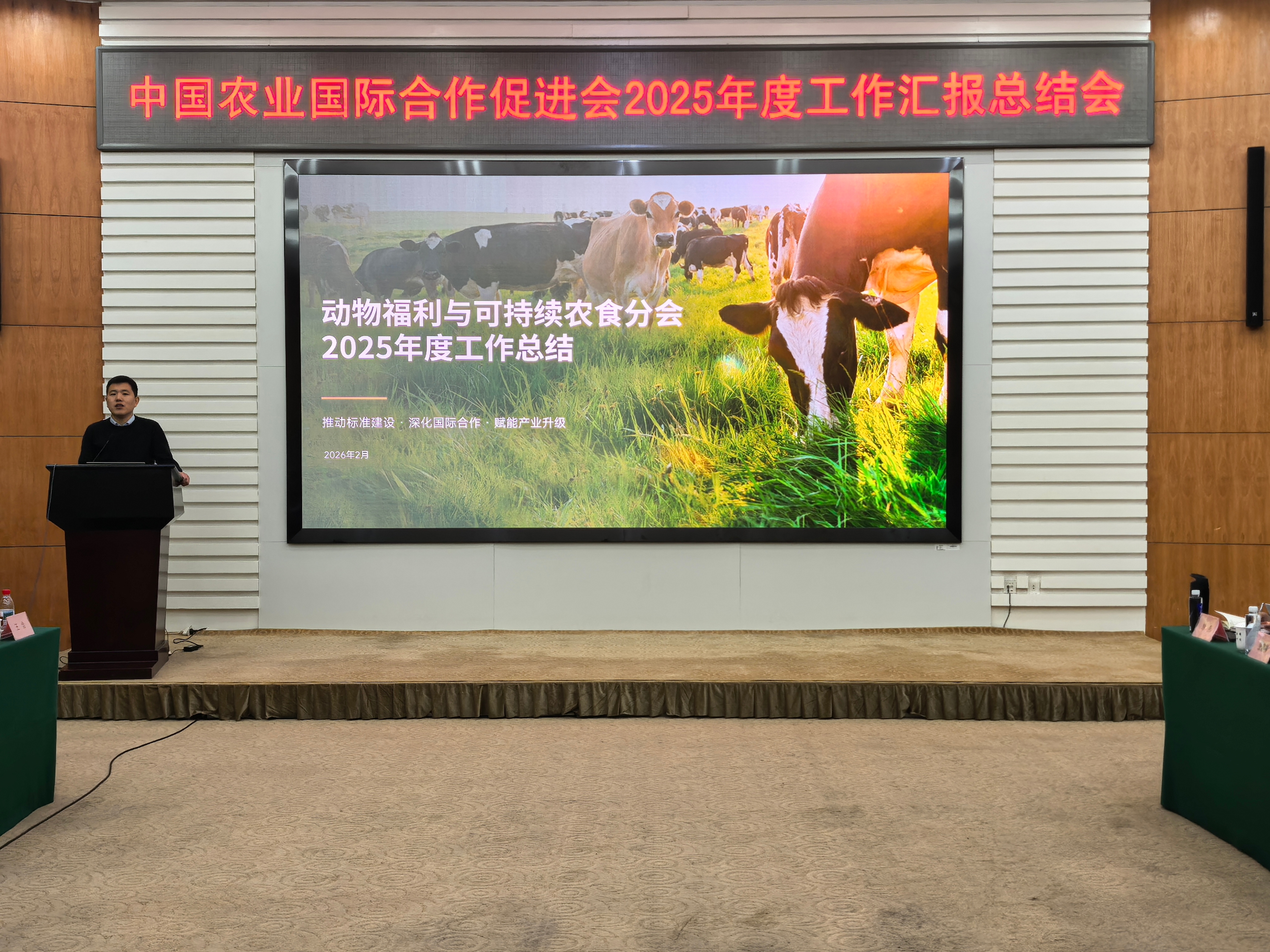 微信图片_20260205140713_355_153-1