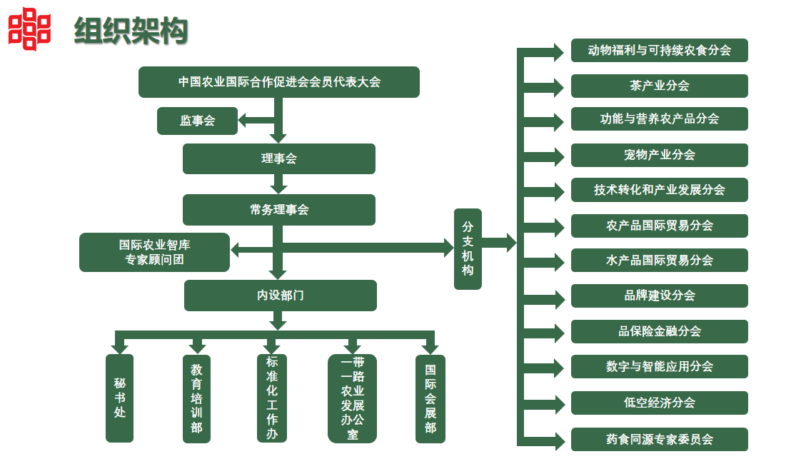 组织架构