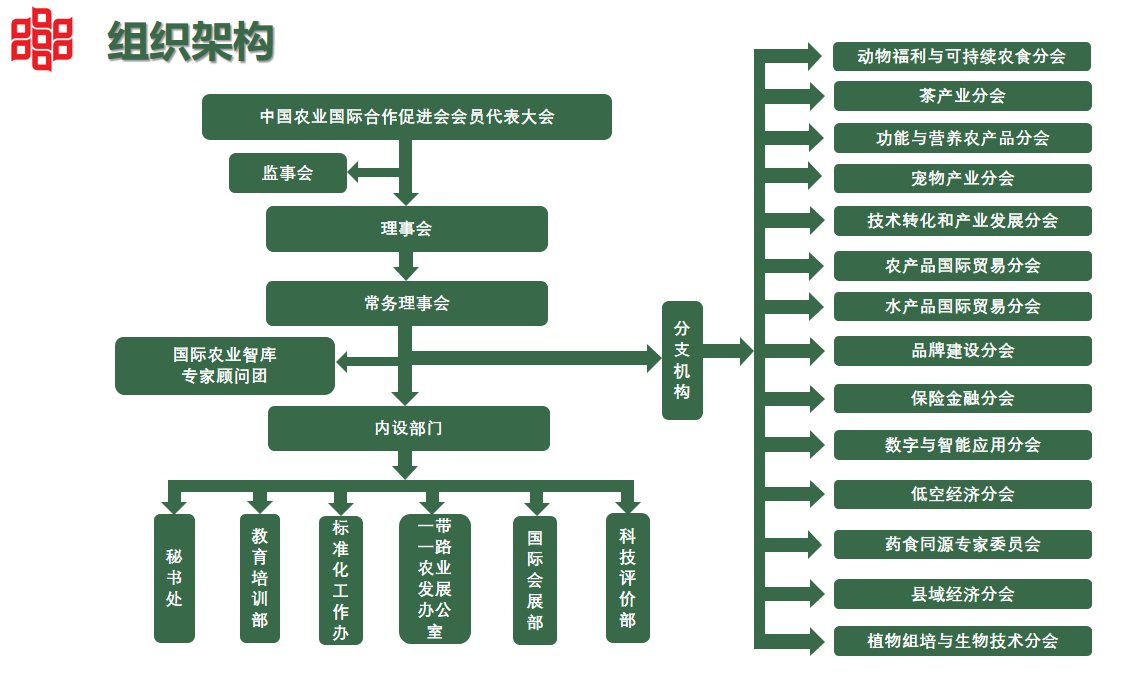 组织架构